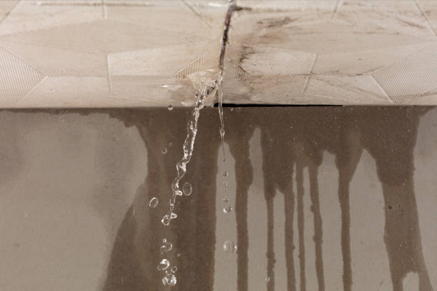 Professional Sewage Cleanup technician working in Empire, OH